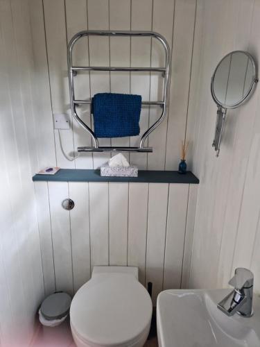 灵伍德Dolly at Lowlands的一间带卫生间、水槽和镜子的浴室