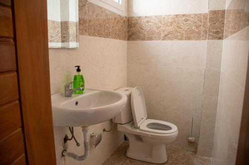 NzamataAppartement MONGOH的一间带卫生间和水槽的浴室