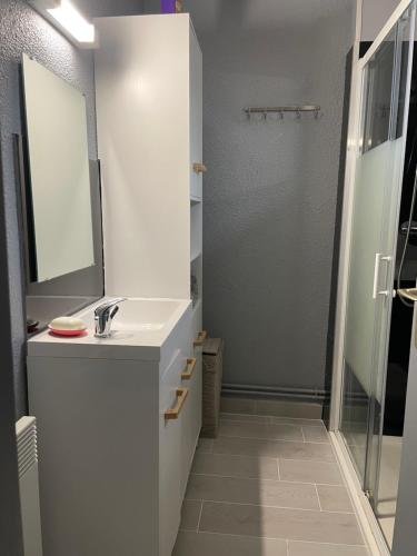 Signy-le-Petitcottage chaleureux dans domaine privé的白色的浴室设有水槽和淋浴。