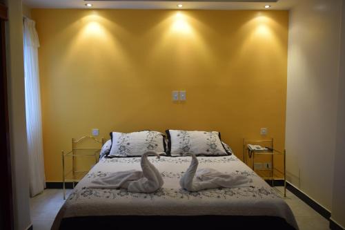 特尔马斯德里奥翁多Hotel De Las Artes的两个天鹅坐在卧室的床上