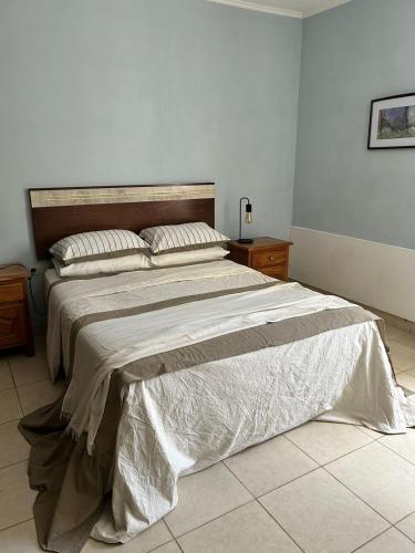 萨尔塔Ahicito - Casa en Tres Cerritos的一间卧室,卧室内配有一张大床