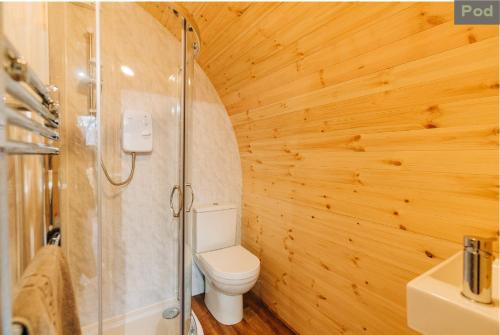 基林Firbush Lochside Lodges的一间带卫生间和淋浴的浴室