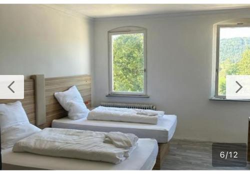 图特林根Tacidur Home的带2扇窗户的客房内的2张床