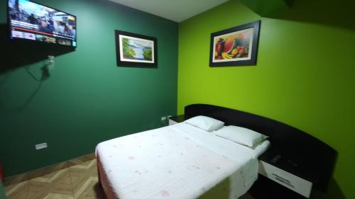 塔克纳Hostal Nochero's的一间拥有绿色墙壁的卧室,其中配有一张床