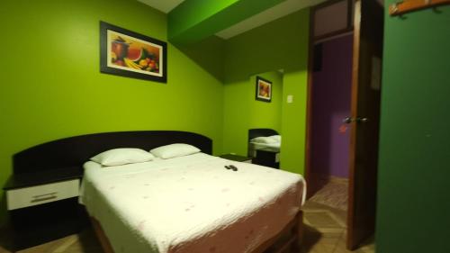 塔克纳Hostal Nochero's的一间拥有绿色墙壁的卧室,其中配有一张床