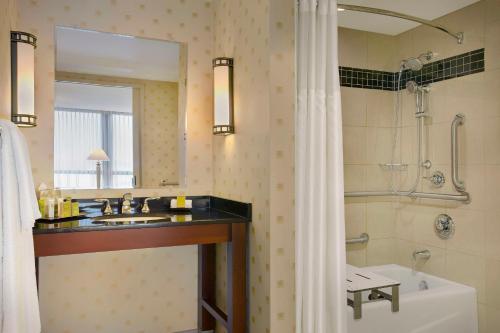 罗斯芒特芝加哥奥黑尔机场希尔顿酒店的浴室配有水槽、淋浴和浴缸。