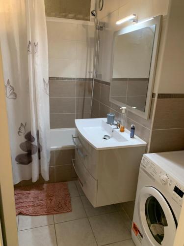 安纳马斯Chaleureux logement familial jusqu'à 6 personnes的一间带水槽和洗衣机的浴室
