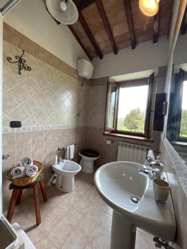 马萨马尔塔纳La Casa di Gelsomino的一间带水槽和卫生间的浴室
