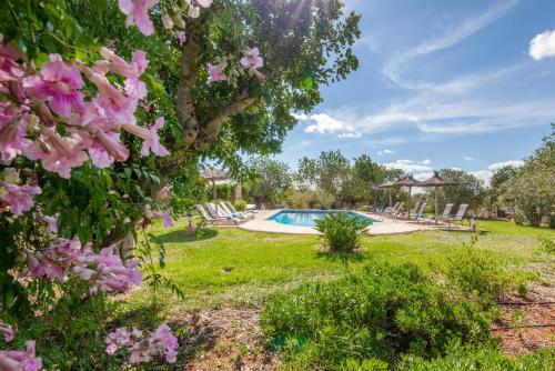桑坦伊Finca Son Marimon的一个带游泳池和粉红色鲜花的花园