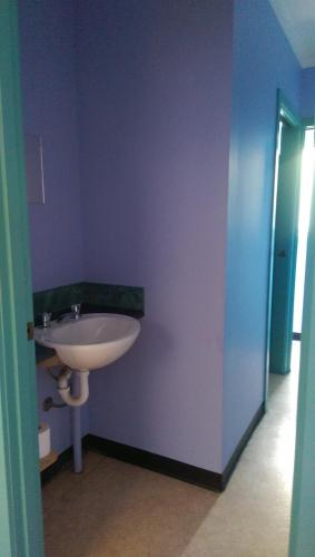 安吉西安格尔西背包客旅馆的浴室设有蓝色墙壁上的白色水槽