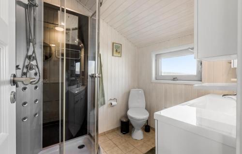 博恩瑟3 Bedroom Amazing Home In Bogense的带淋浴、卫生间和盥洗盆的浴室
