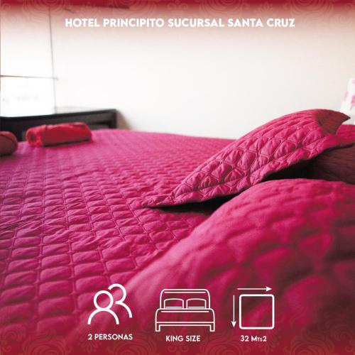 圣克鲁斯PRINCIPITO SANTA CRUZ的一张带粉红色棉被和枕头的床