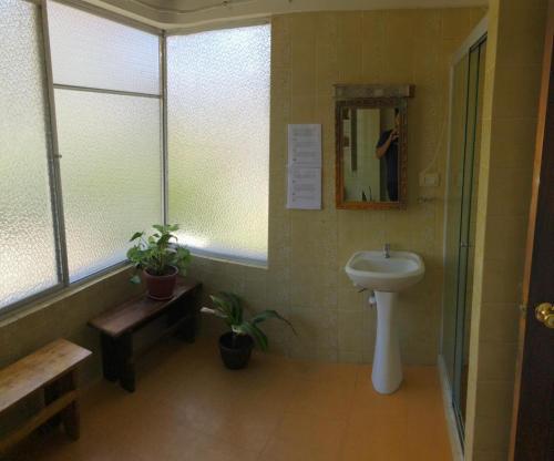 拉巴斯the weekend hostel的一间带水槽和镜子的浴室