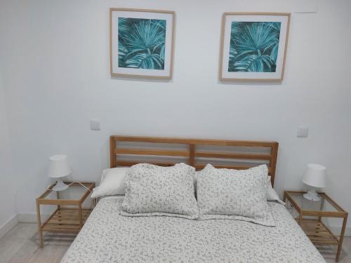 贝纳阿维斯Los Pinos 8的卧室配有一张墙上有两张照片的床。