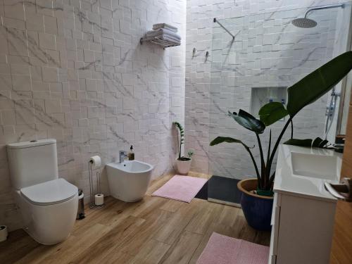 圣布里希达Casa con piscina, High-speed Wi-Fi y vistas的一间带卫生间和植物的浴室