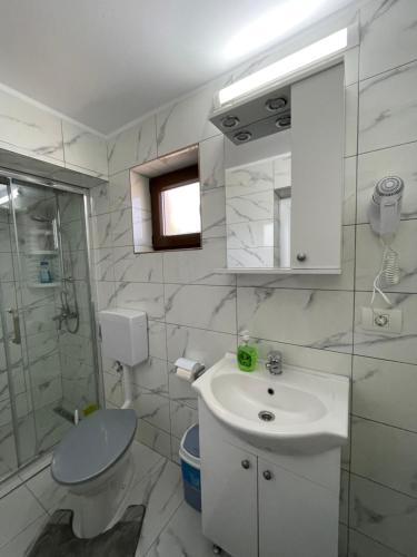 诺瓦齐- 斯特拉尼Pensiunea CAV的白色的浴室设有水槽和卫生间。