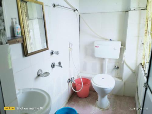 DublātKRIYA YOGA RETREAT CENTER GANGASAGAR的一间带卫生间、水槽和镜子的浴室