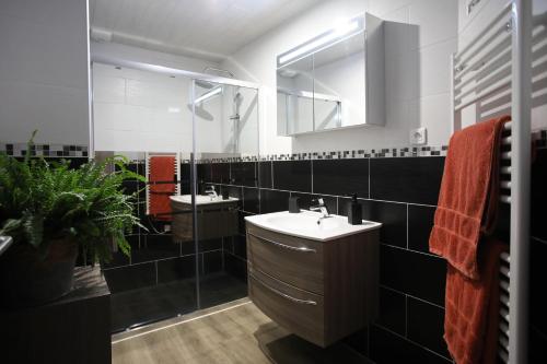 阿尔布瓦L'Atelier 57 - Votre meublé authentique !的浴室设有2个水槽和镜子