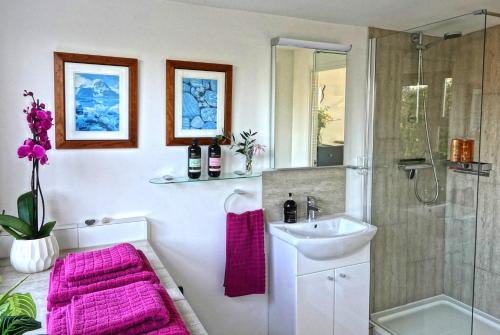 拉伊Rye Treat的浴室提供粉红色的毛巾、水槽和淋浴。