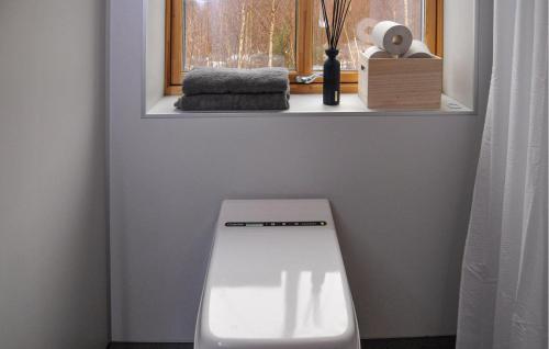 卡特琳娜霍尔姆3 Bedroom Beautiful Home In Katrineholm的浴室设有白色卫生间和窗户