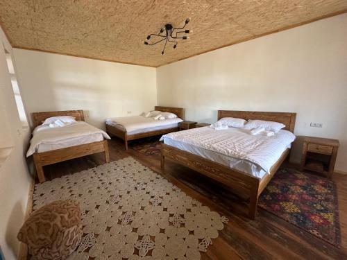 迪利然Hovk Farms的一间卧室配有两张床和吊灯。
