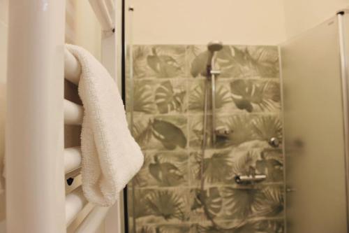 卡尔切拉尼卡阿拉戈[Fronte lago]ResidenceGarden, moderno appartamento的浴室内带毛巾的浴帘
