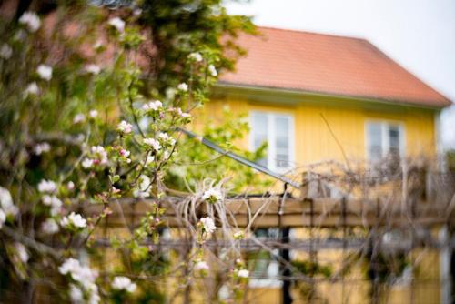 韦斯特维克Västervik rum & Stugor的黄色的房子,有红色的屋顶和一些花