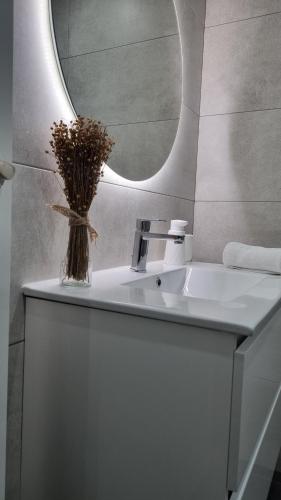 庞特维德拉Apartamento Corbaceiras的浴室设有白色水槽和镜子