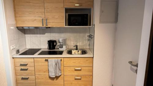 斯图加特Apartment 1 im Lehenviertel的一间带水槽和微波炉的小厨房