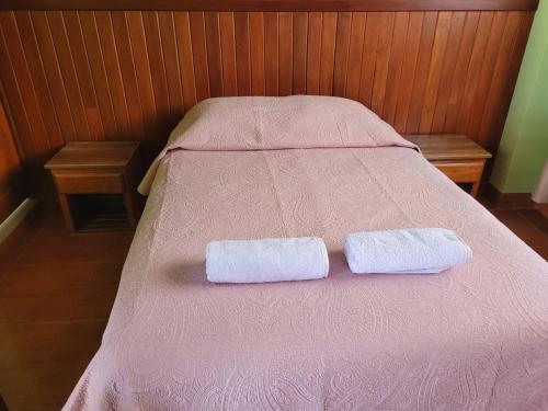 Chavín de HuantarHotel Restaurante Minas Cocha的两条毛巾坐在粉红色的床上