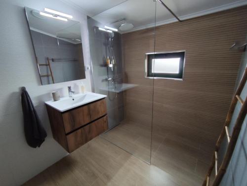 莫托拉Vila Nova Guest House的浴室配有盥洗盆和带镜子的淋浴