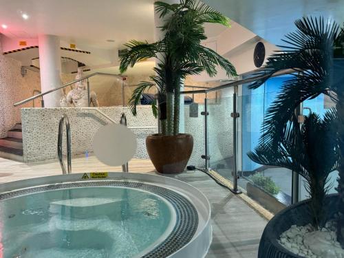 伦敦拉法耶尔酒店&SPA的一间带浴缸的浴室,里面种有棕榈树
