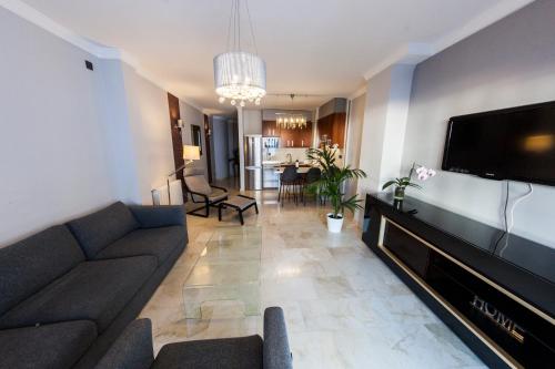 内尔哈阿布里尔公寓的带沙发和平面电视的客厅