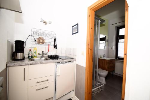 萨斯尼茨Villa Margarete的一间带水槽和卫生间的小厨房