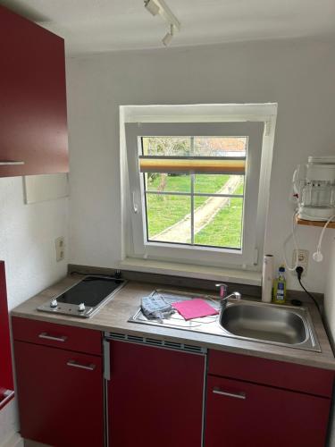 NieskyFerienwohnung Niesky的一个带水槽和窗户的小厨房