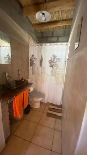 蒂诺加斯塔El Corti Tinogasta的浴室配有卫生间、盥洗盆和淋浴。