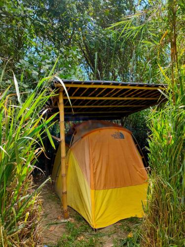 Rumi Wilco Ecolodge & Nature Reserve-Cabañas & Camping