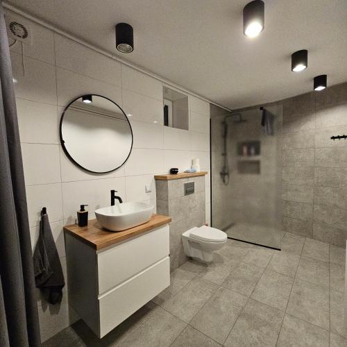 普鲁德尼克Apartament Tuwima 1的一间带水槽、卫生间和镜子的浴室