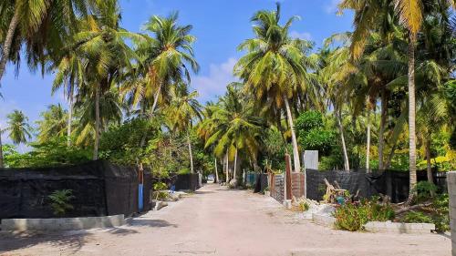 MaradhoofeydhooMorus Bliss - Divers' Preferred Hotel的海滩上一条长满棕榈树的土路