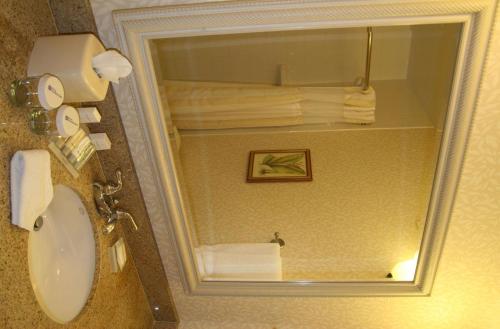 艾尔韦高地希尔顿花园酒店斯波坎机场店的浴室设有镜子、卫生间和毛巾