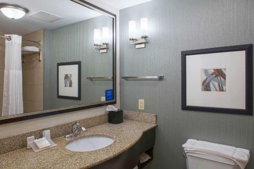 琼斯伯勒琼斯伯勒希尔顿花园酒店的一间带水槽和镜子的浴室