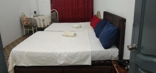 斯里巴加湾市Melrose homestay and transport的一张床上有两个枕头的房间