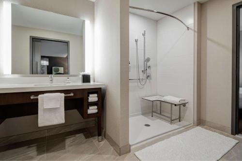 绍斯莱克Delta Hotels by Marriott Dallas Southlake的一间带水槽和淋浴的浴室