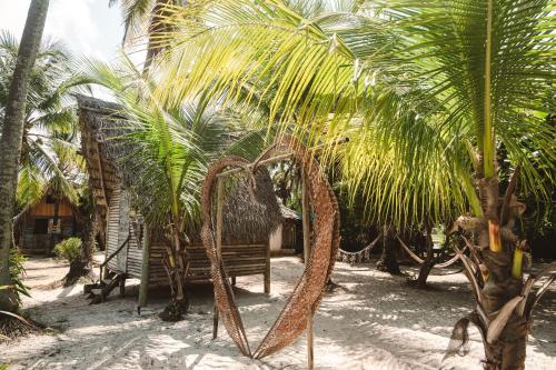 卡马萨里Cabana juriti的几棵棕榈树和沙地的长凳