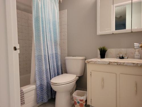 埃德蒙顿Entire 1-Bedroom Unit in Vibrant 124 Street Arts District的浴室设有卫生间、水槽和淋浴帘