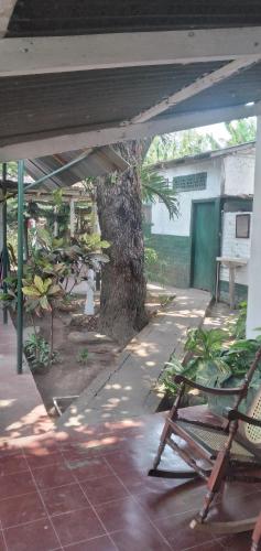 AltagraciaOrtiz Hospedaje Ometepe的一个带椅子和树的户外庭院