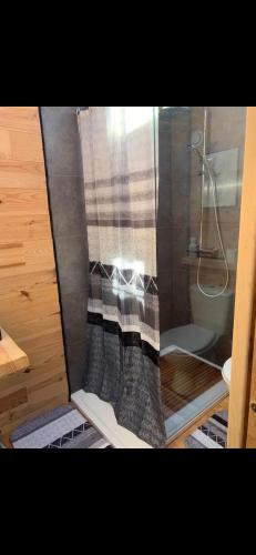 ArdresLa Tiny house的浴室内带窗帘的淋浴