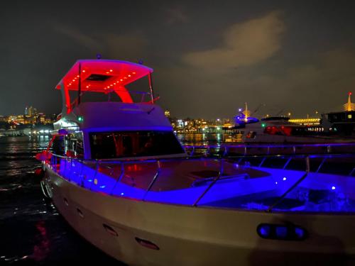 伊斯坦布尔ESESYATTURİZM的夜间在水面上泛着蓝色的灯光的白色小船