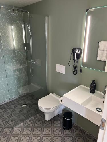 芬斯内斯Finsnes Gaard的浴室配有卫生间、淋浴和盥洗盆。