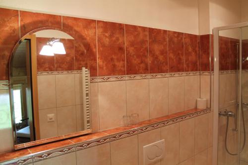 英格堡圣雅各布膳食公寓的带淋浴和镜子的浴室